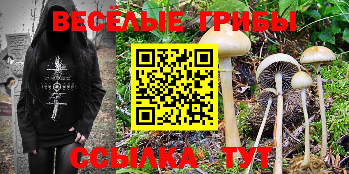 Галлюциногенные грибы Psilocybine cubensis  Вход с VPN  Новоуральск  Псилоцибиновые грибы Psilocybine cubensis 